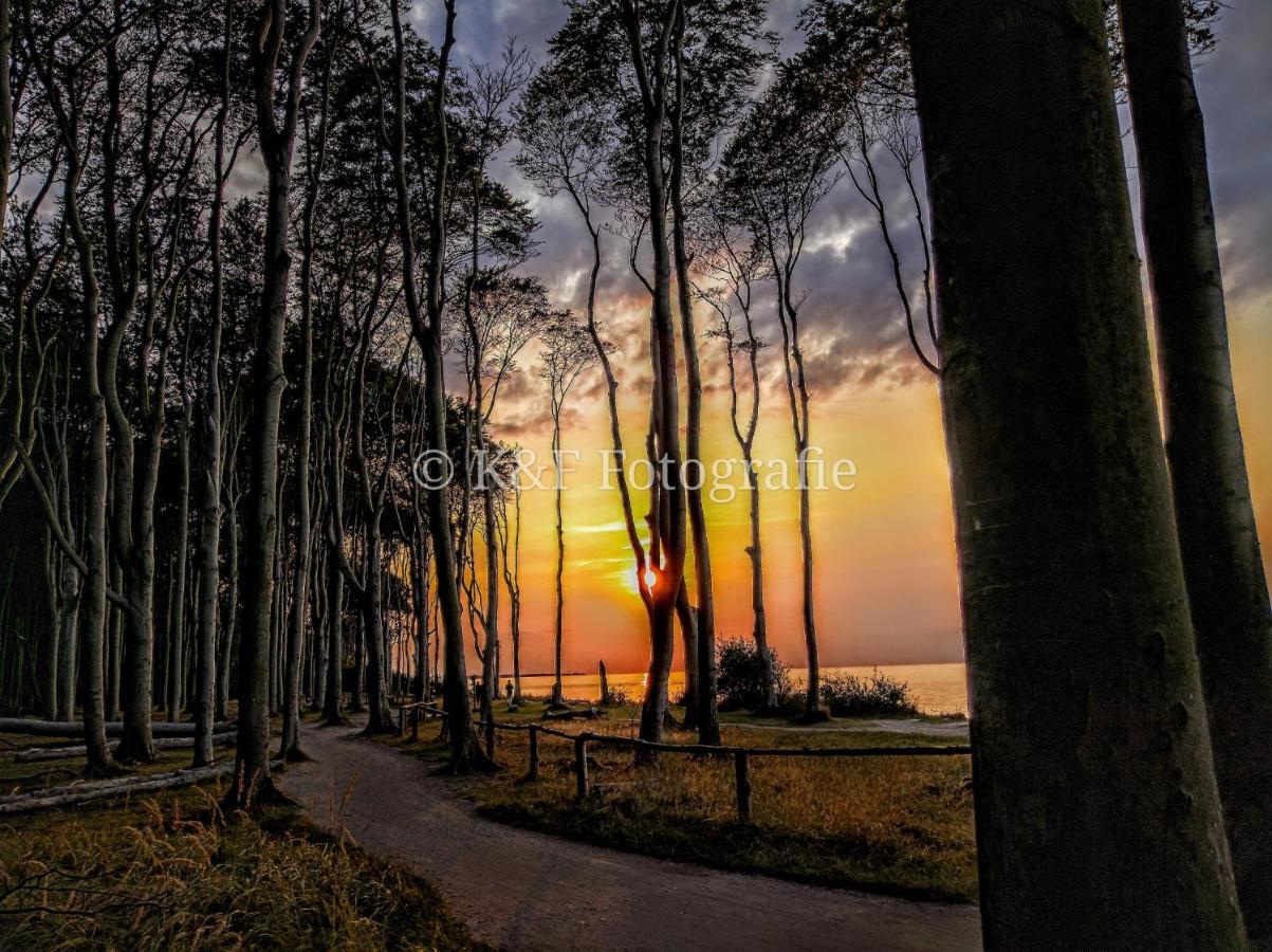 Ostseeblick Ostseebad Nienhagen Exteriér fotografie